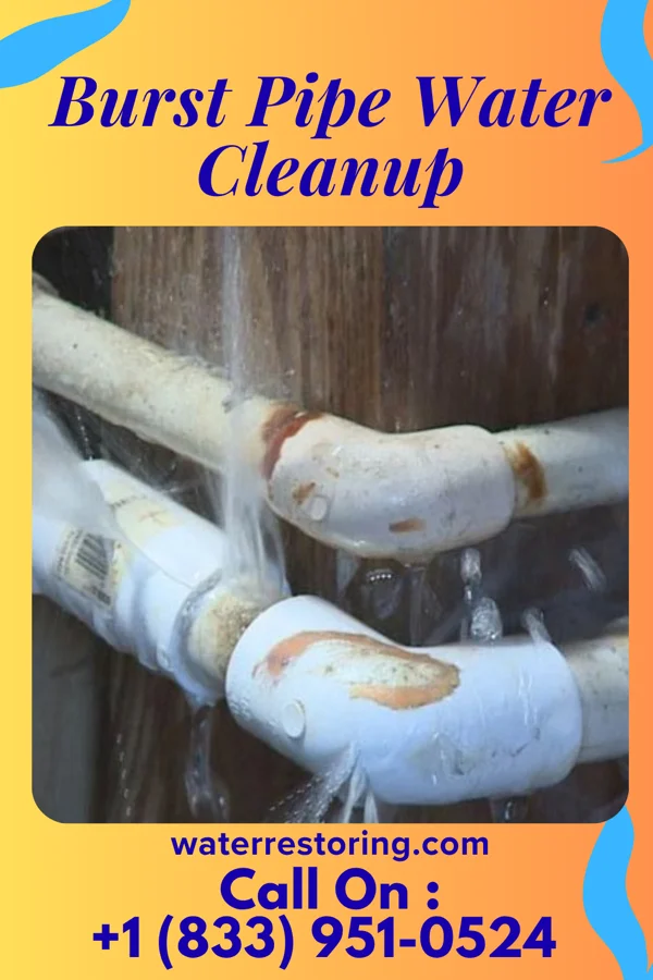 Burst Pipe Water Cleanup in Glen Dale, WV
