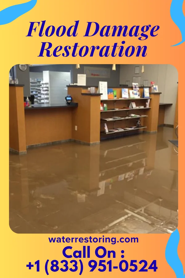 Flood Damage Restoration in Glen Dale, WV