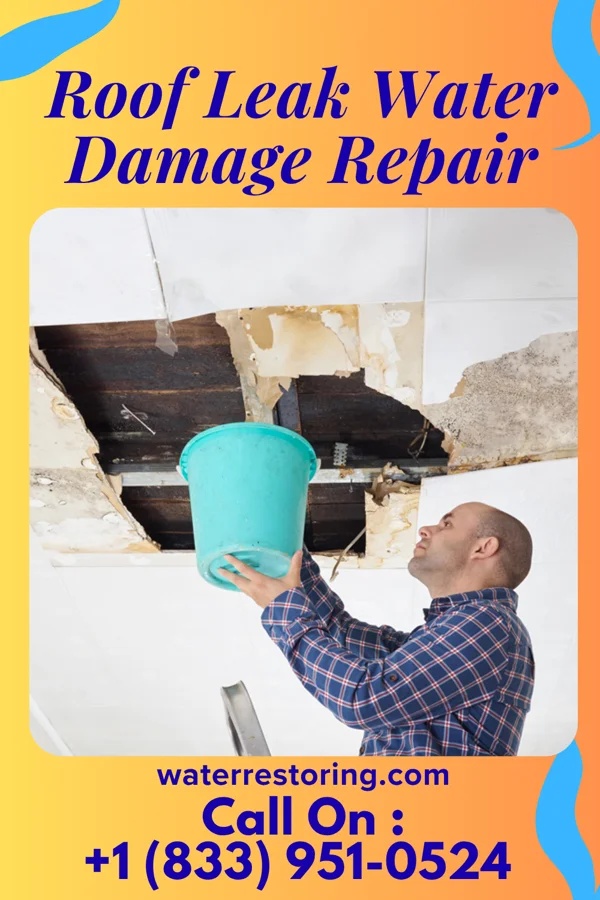 Roof Leak Water Damage Repair in Glen Dale, WV