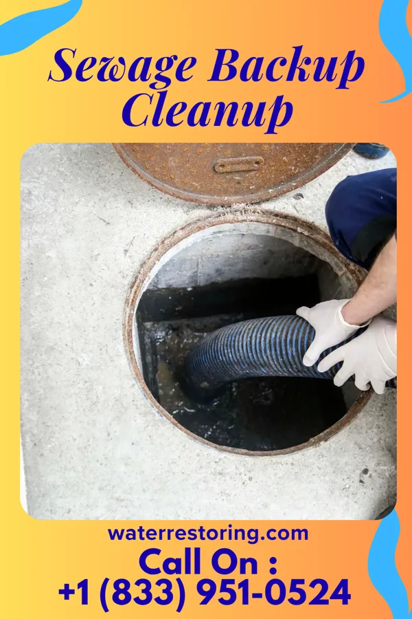 Sewage Backup Cleanup in Glen Dale, WV