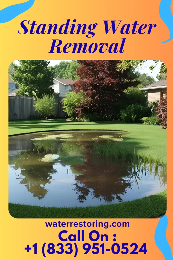 Standing Water Removal in Glen Dale, WV